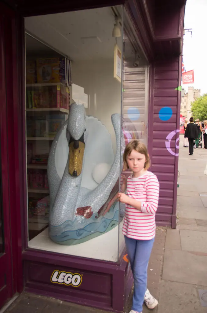 The swans of Wells 5 Arcus - No 3