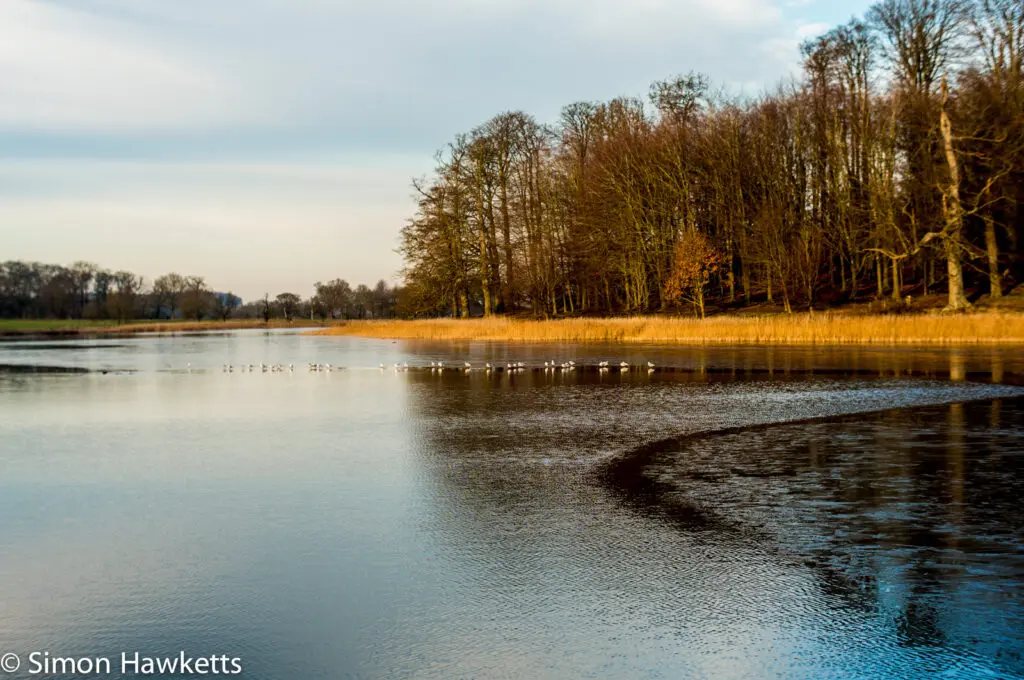 Blickling Hall National Trust property pictures - Blickling hall lake frozen