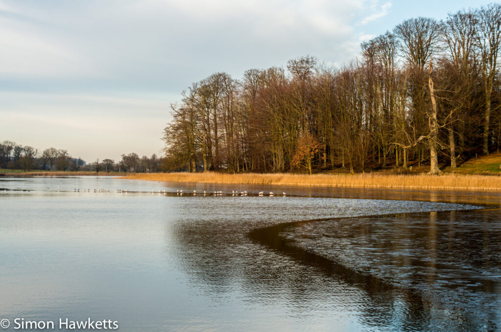 Blickling Hall National Trust property pictures - Blickling hall lake frozen