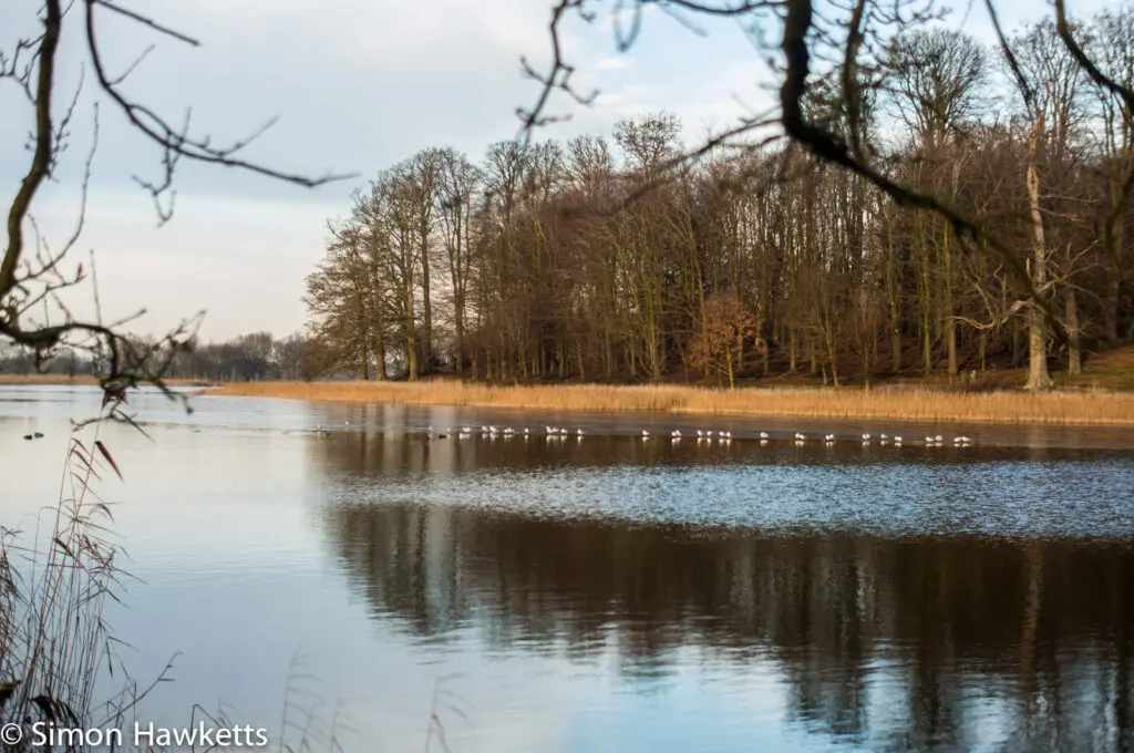 Blickling Hall National Trust property pictures - Blickling hall lake frozen