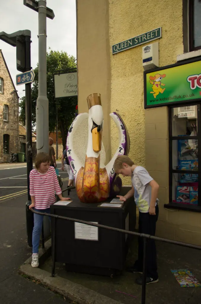 The swans of Wells 8 Bohemian Rhapsody - no 7