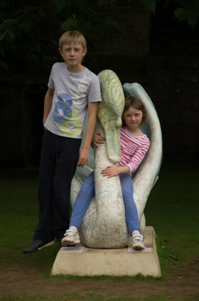 The swans of Wells 20 Cyril - No 12