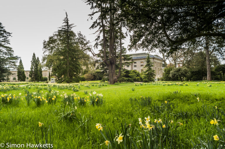 Ickworth house pictures