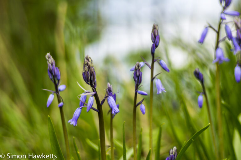 Walk around the Suffolk countryside