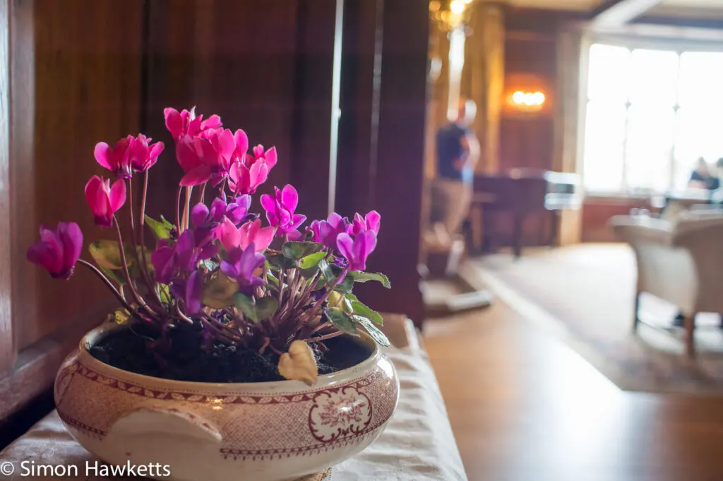 Shooting with primes 8 Sutton Hoo - A bowl of flowers