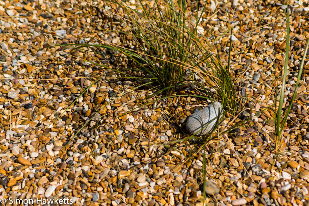 Dunwich Heath Suffolk pictures - A large pebble amongst the stony beach