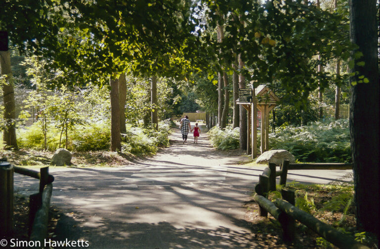 Elveden Forest Centerparcs on film - walking with mummy