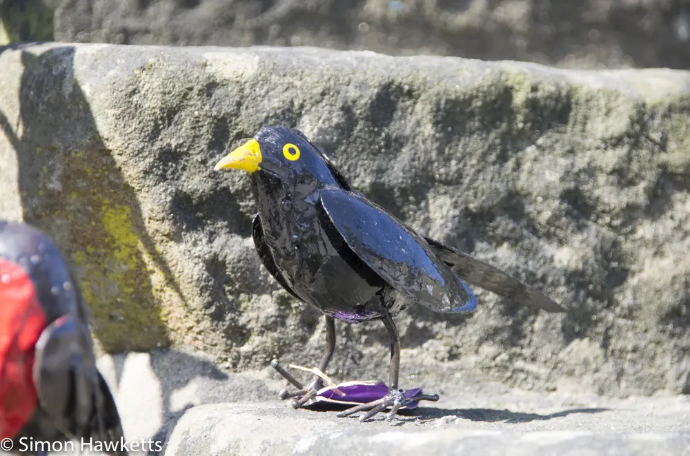Eyam Hall Pictures - Craft shop bird