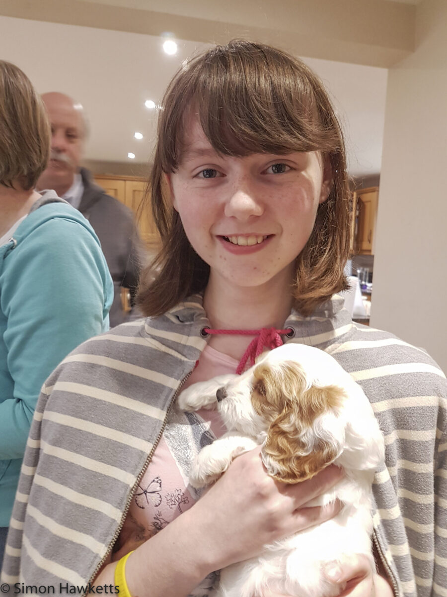 Freddy the Cockapoo Puppy with Emma