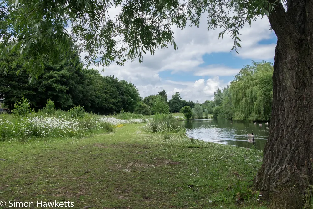 A move to Fuji mirror-less 12 fuji xt 1 samples 11