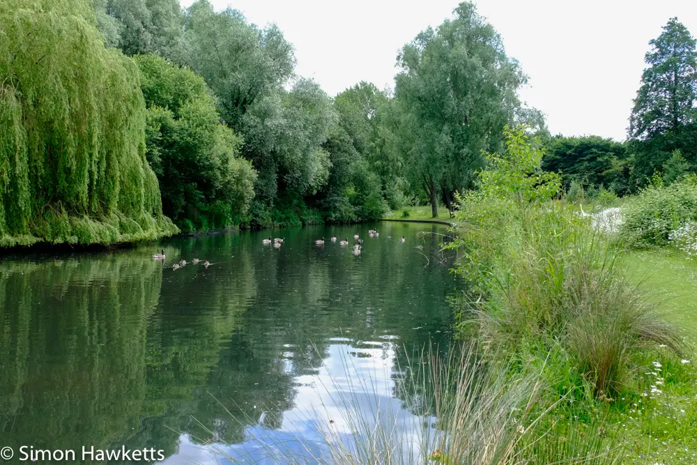 A move to Fuji mirror-less 14 fuji xt 1 samples 13