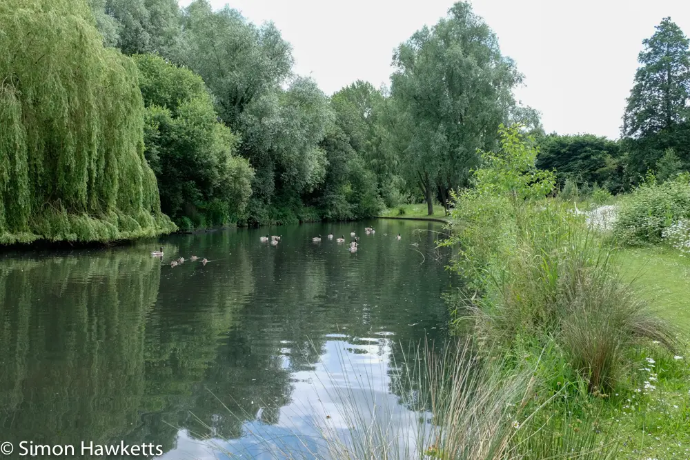 A move to Fuji mirror-less 15 fuji xt 1 samples 14