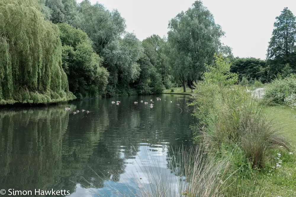 A move to Fuji mirror-less 16 fuji xt 1 samples 15
