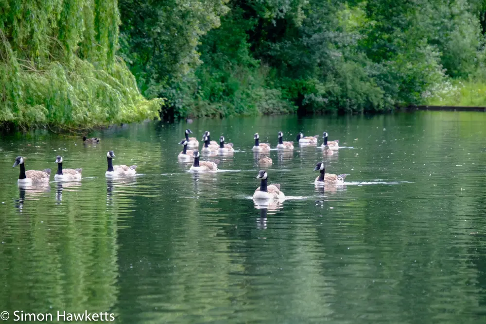 A move to Fuji mirror-less 18 fuji xt 1 samples 17