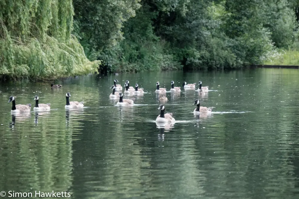 A move to Fuji mirror-less 19 fuji xt 1 samples 18