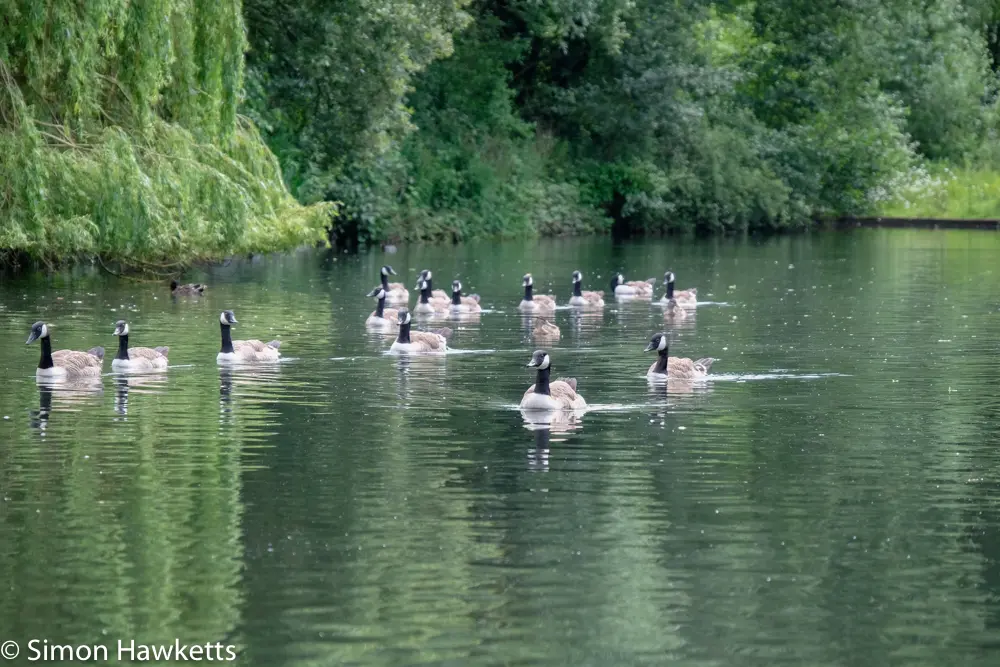 A move to Fuji mirror-less 20 fuji xt 1 samples 19