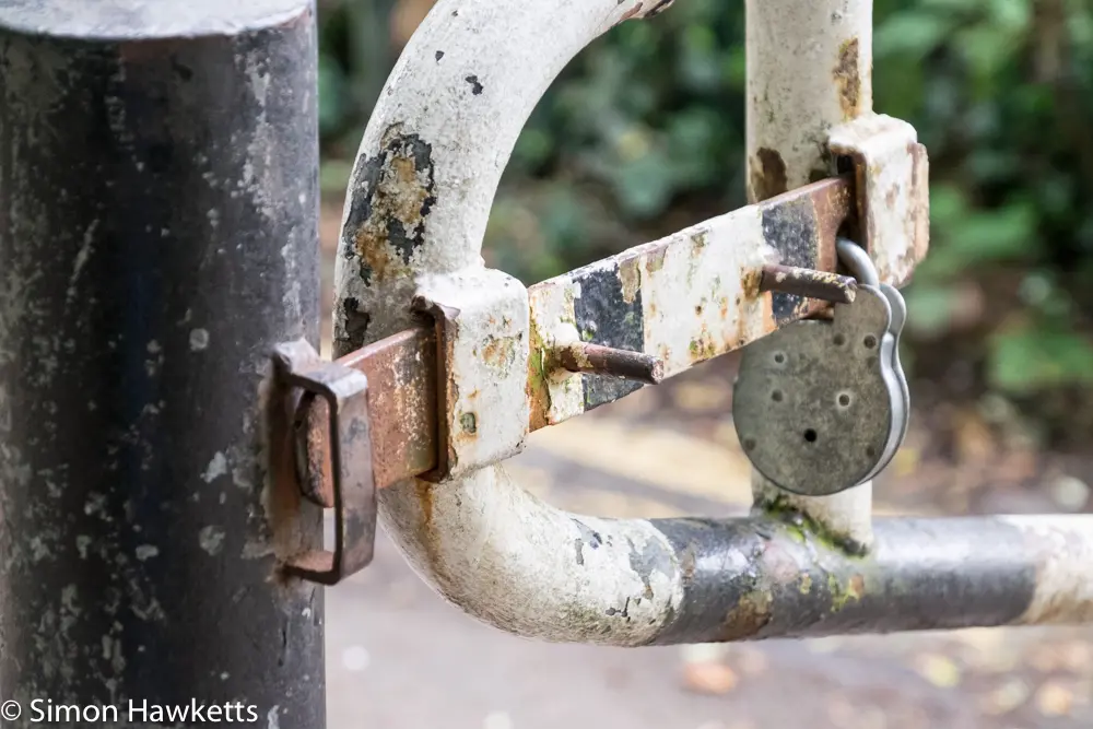 A move to Fuji mirror-less 7 fuji xt 1 samples 6