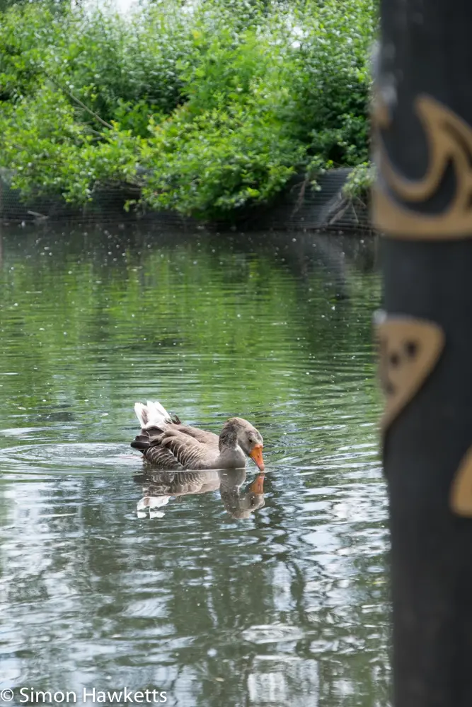 A move to Fuji mirror-less 9 fuji xt 1 samples 8