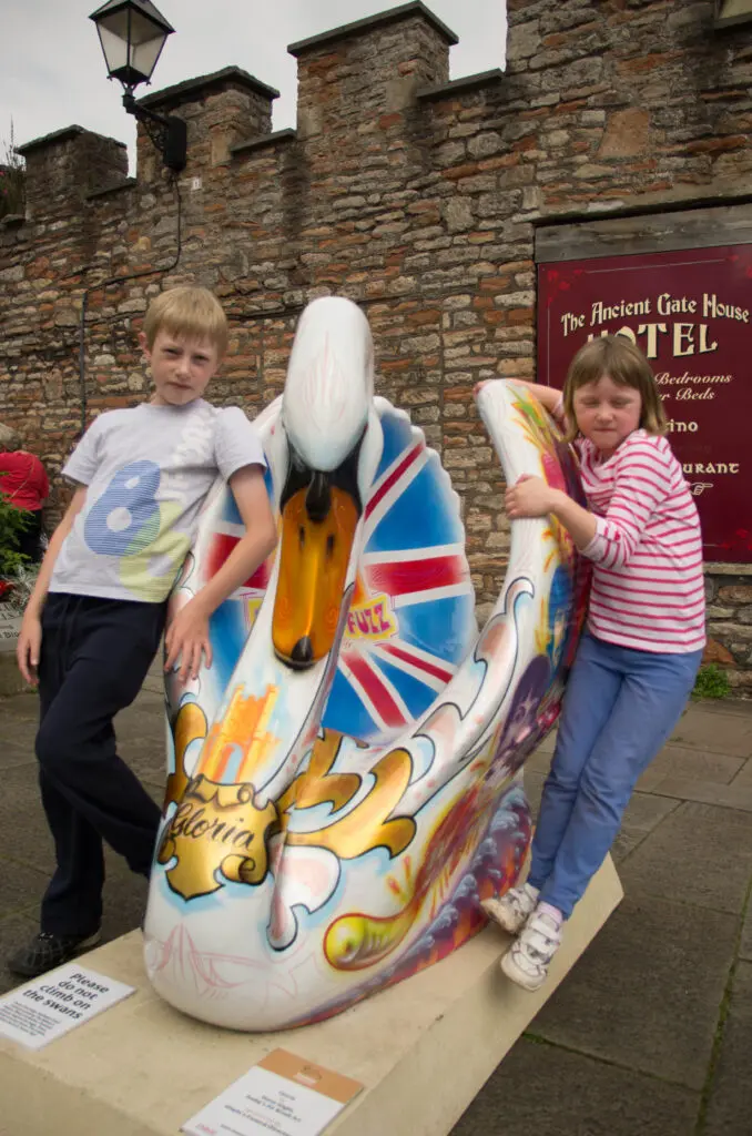 The swans of Wells 36 Gloria - No 18