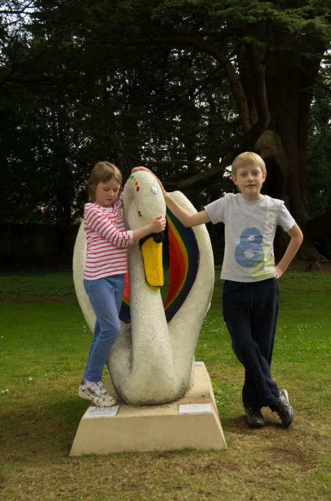 The swans of Wells 31 Grace - no 20