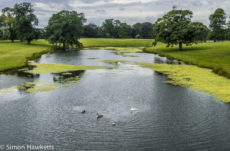 Favourite pictures – The lake at Raby Castle