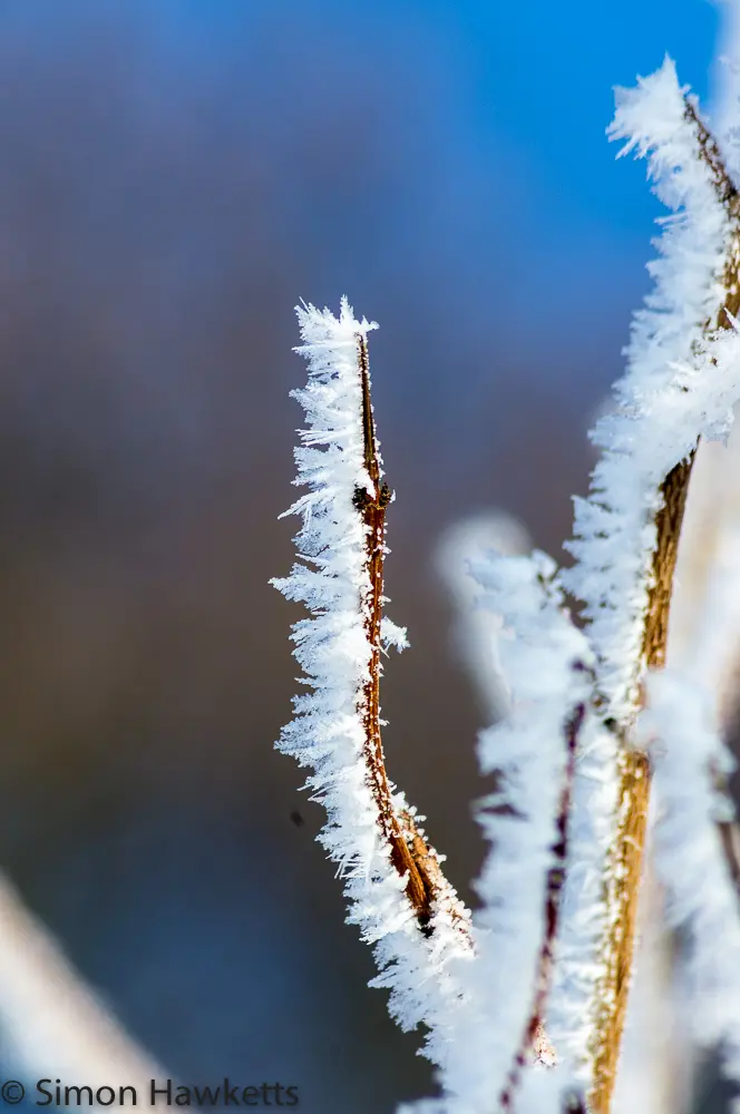 Frost and Snow 8 Frost and Snow