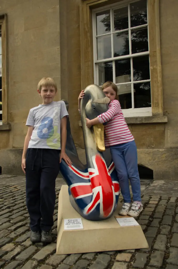 The swans of Wells 33 Lizzy - no 29