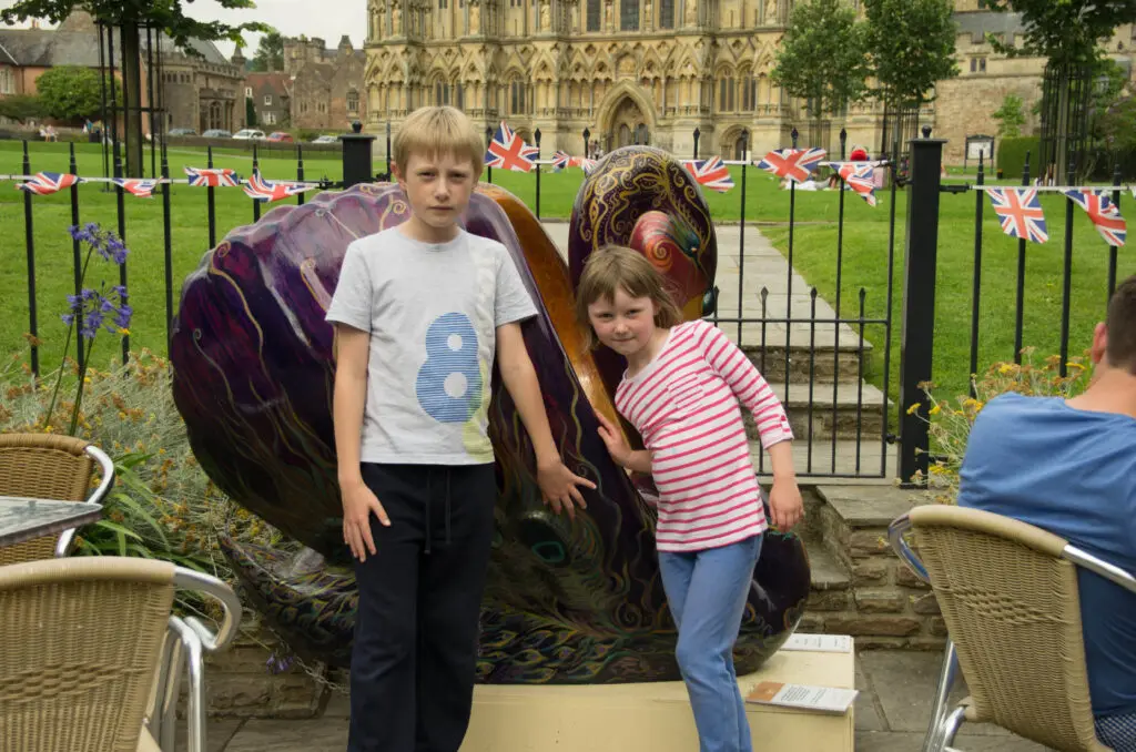 The swans of Wells 13 Majesty - no 30