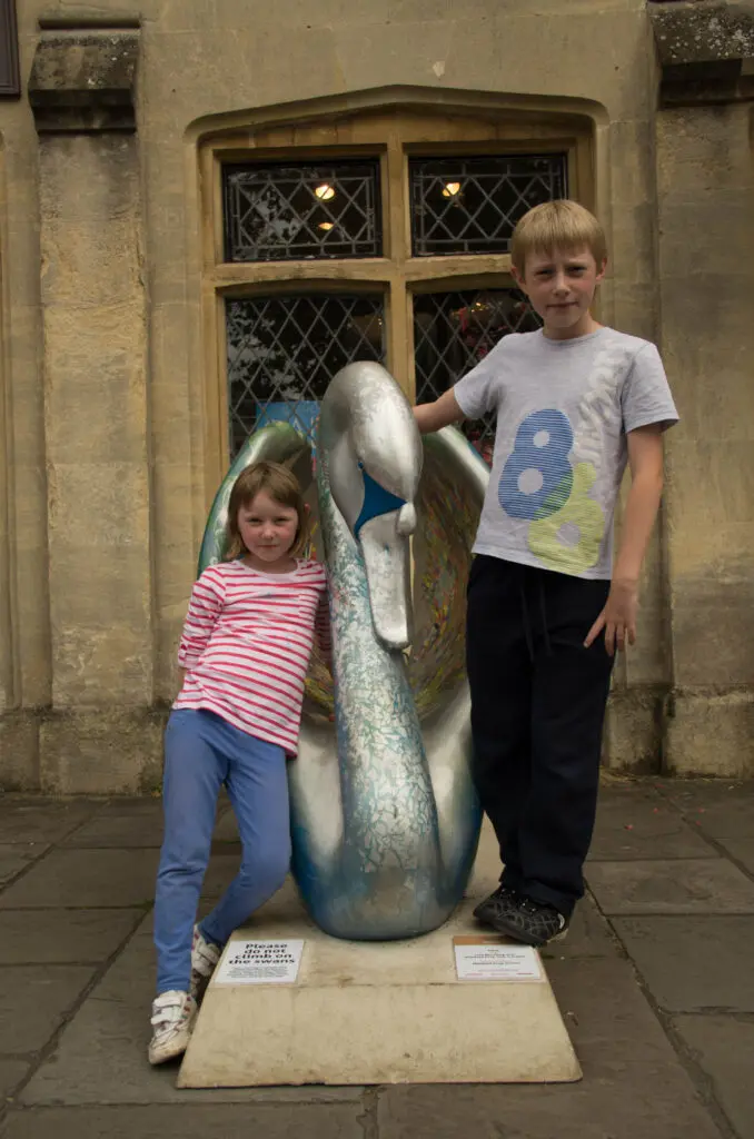 The swans of Wells 27 Mary - No 31