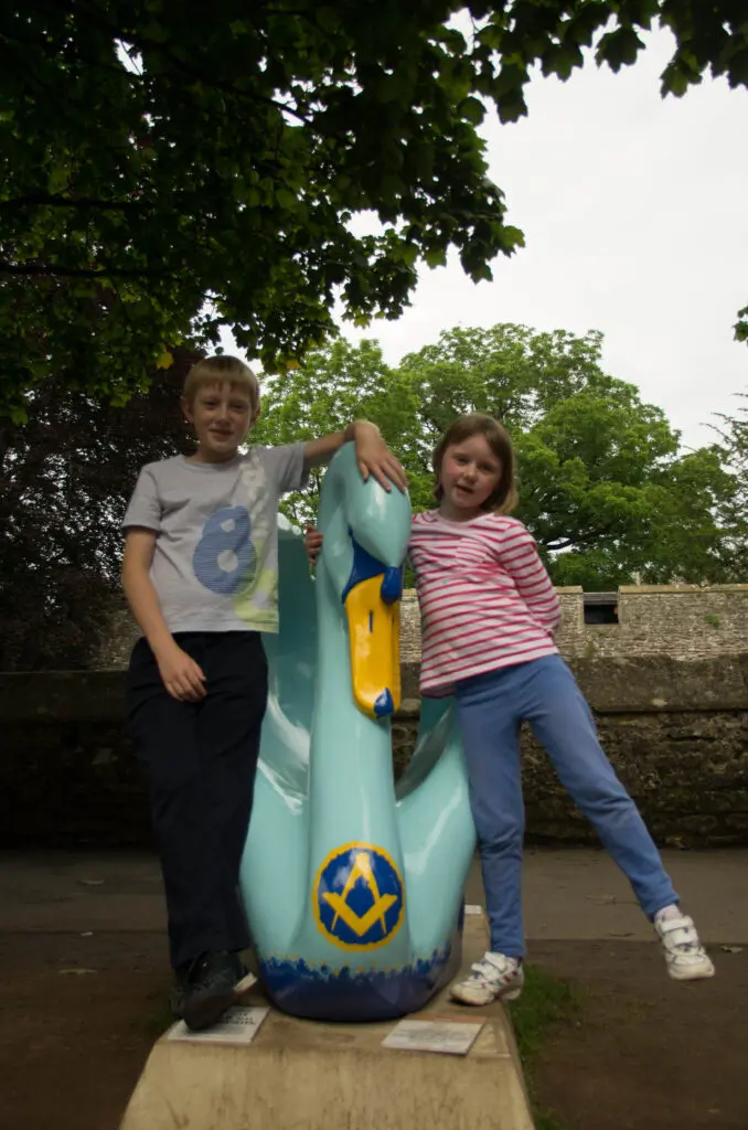 The swans of Wells 23 Naomi - No 34