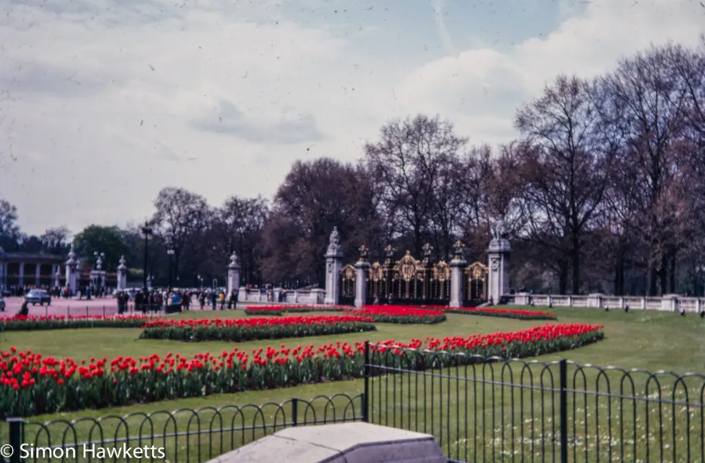 Central London pictures c1980 18 Olympus OM-20 pictures - The Grounds of Buckingham Palace on colour negative film taken about 1980