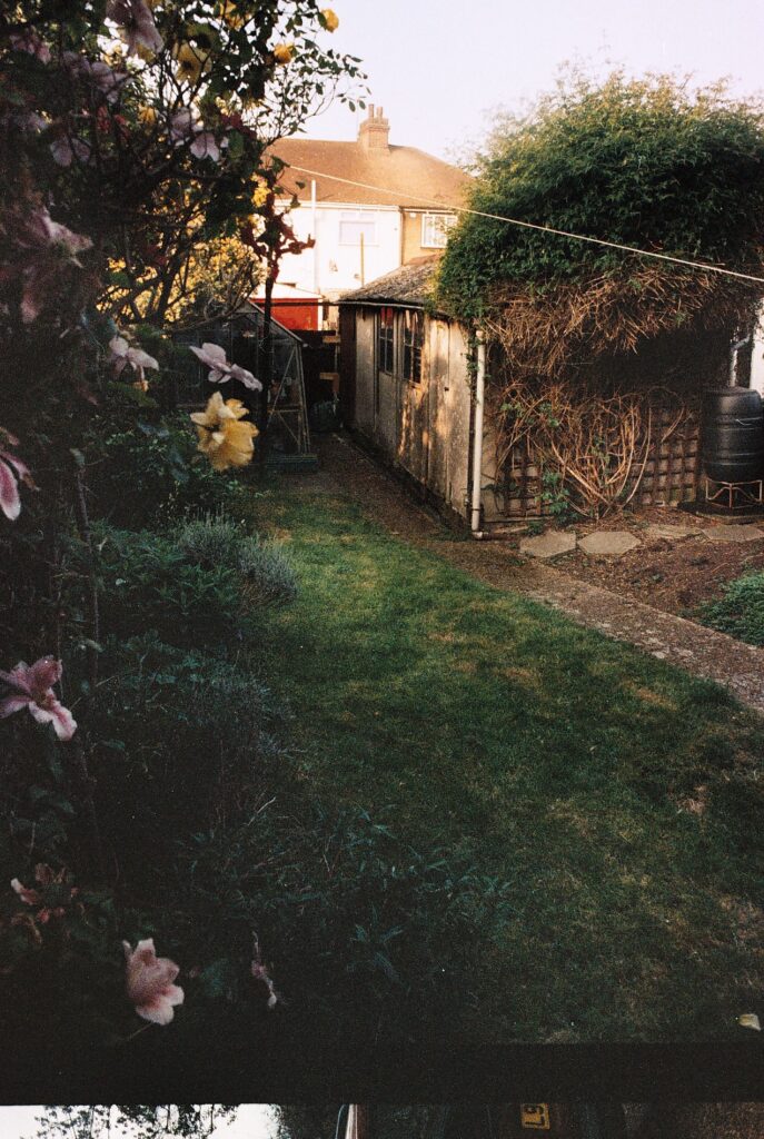 Photos from film found in old cameras - a picture of a back garden lawn