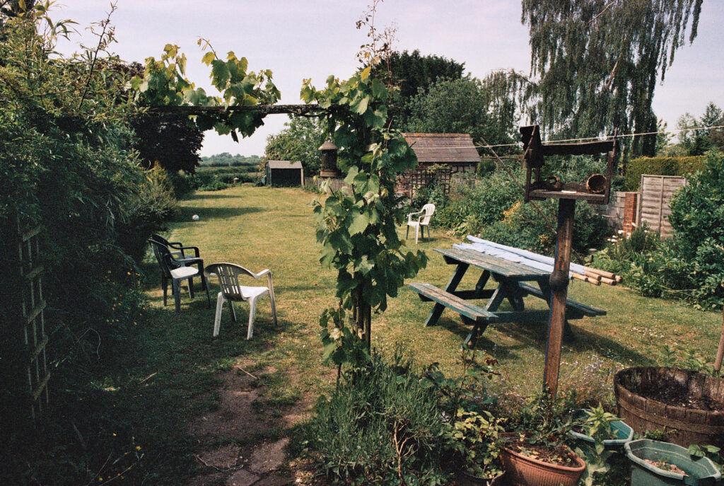 Photos from film found in old cameras - a back garden or possible a pub garden