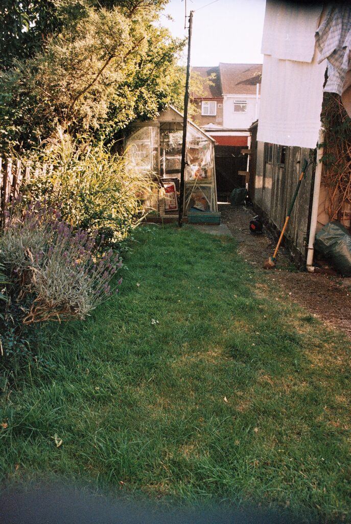 Photos from film found in old cameras - a lawn in a back garden