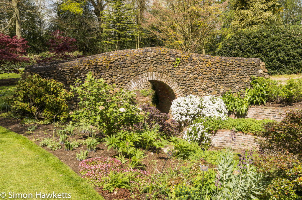 Pictures from Bressingham gardens in Norfolk - Small Bridge