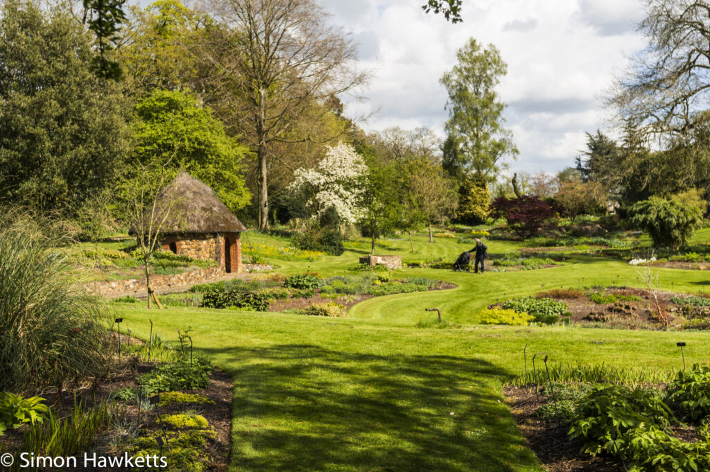 Pictures from Bressingham gardens in Norfolk - The Garden view
