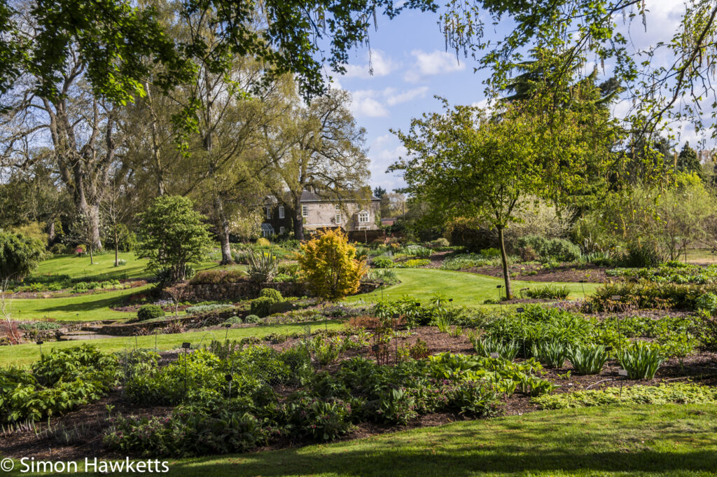 Pictures from Bressingham gardens in Norfolk - The Gardens