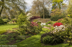 Pictures from Bressingham gardens in Norfolk - The gardens