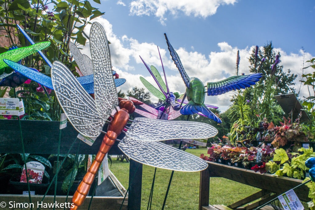 Pictures from Sudbury Hall in Derbyshire - Large plastic garden dragonfly
