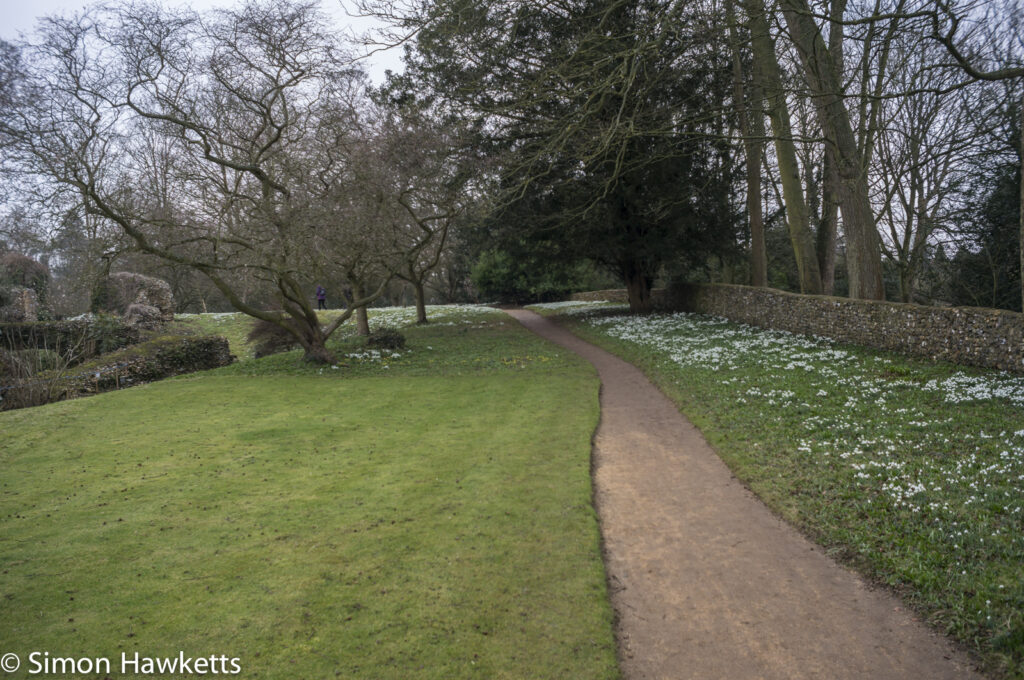 Pictures of Bennington Lordship - Path around the house