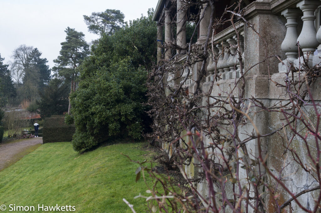 Pictures of Bennington Lordship - Plants climbing up the verandah
