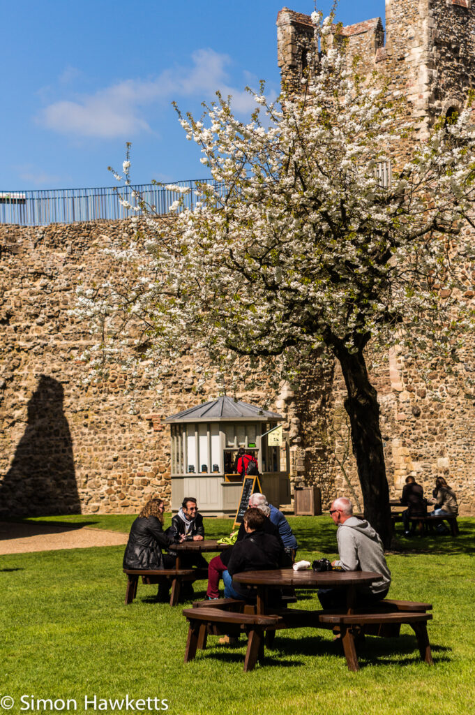 pictures of framlingham in suffolk people sitting under a tree at framlingham castle