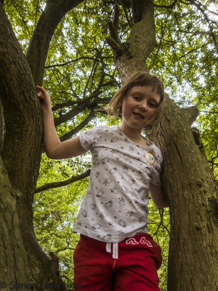 ricoh gxr with s10 lens little girl climbing a tree 3