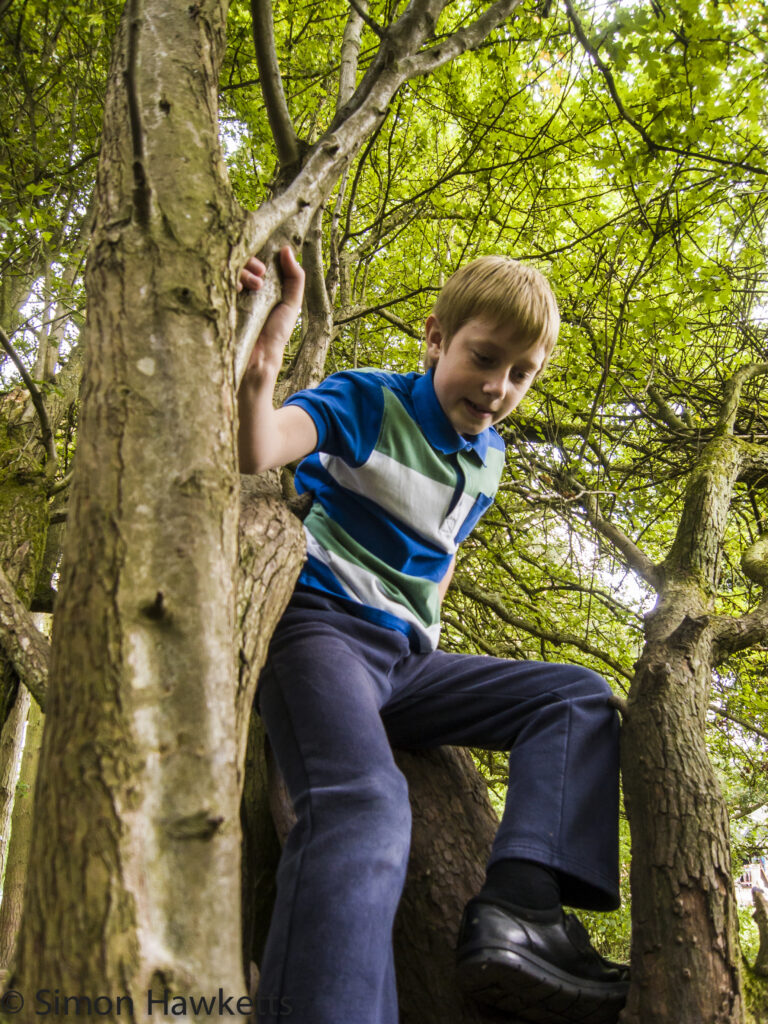 Ricoh GXR S10 lens - Small boy climbing a tree