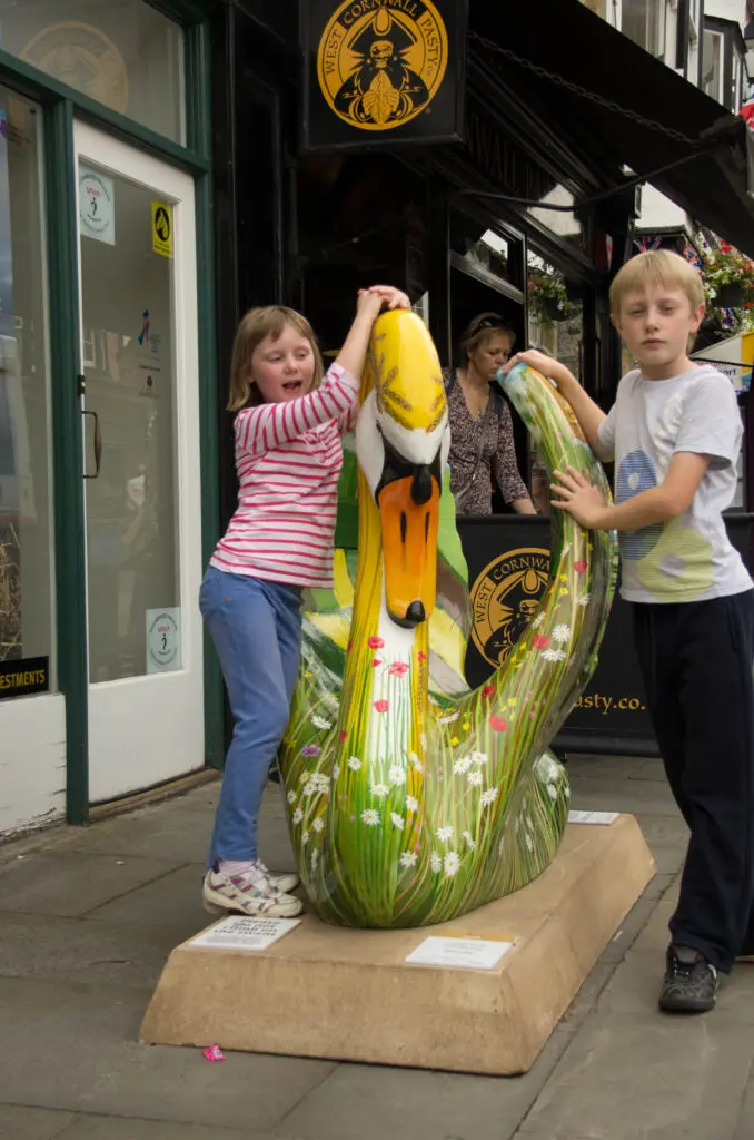 The swans of Wells 14 Ruralynne shorer - no 45