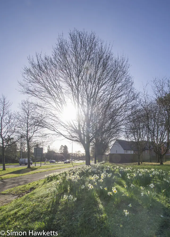 Spring in super wide angle