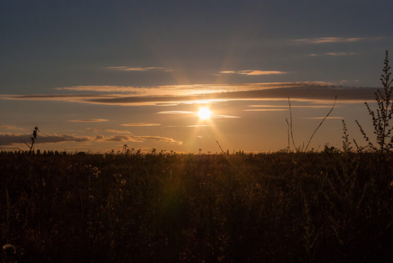 Photographing a sunset.