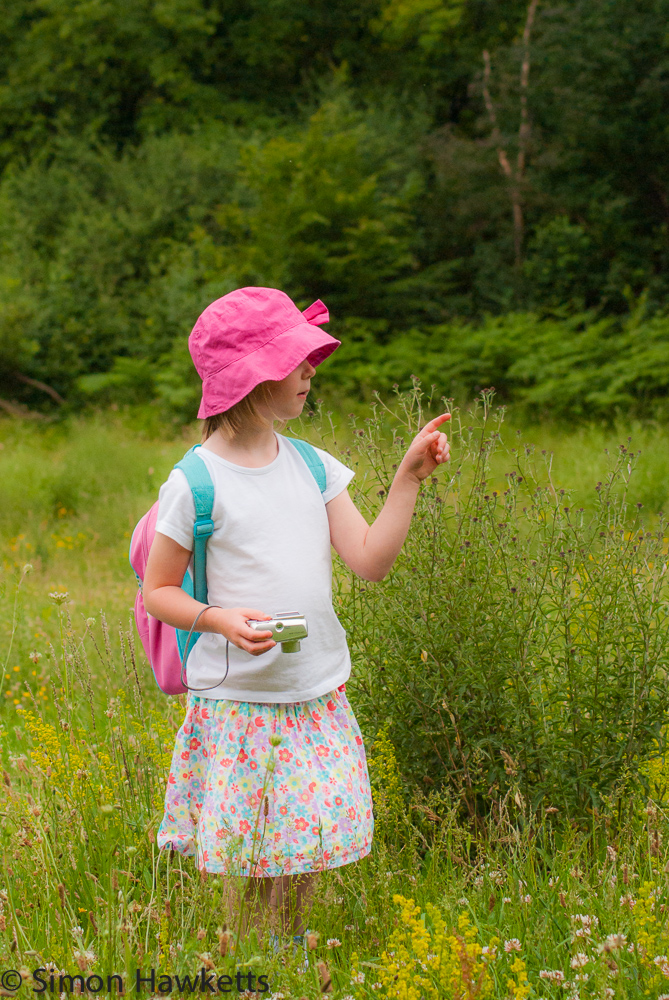 My daughter assisting in hunting for butterflies today