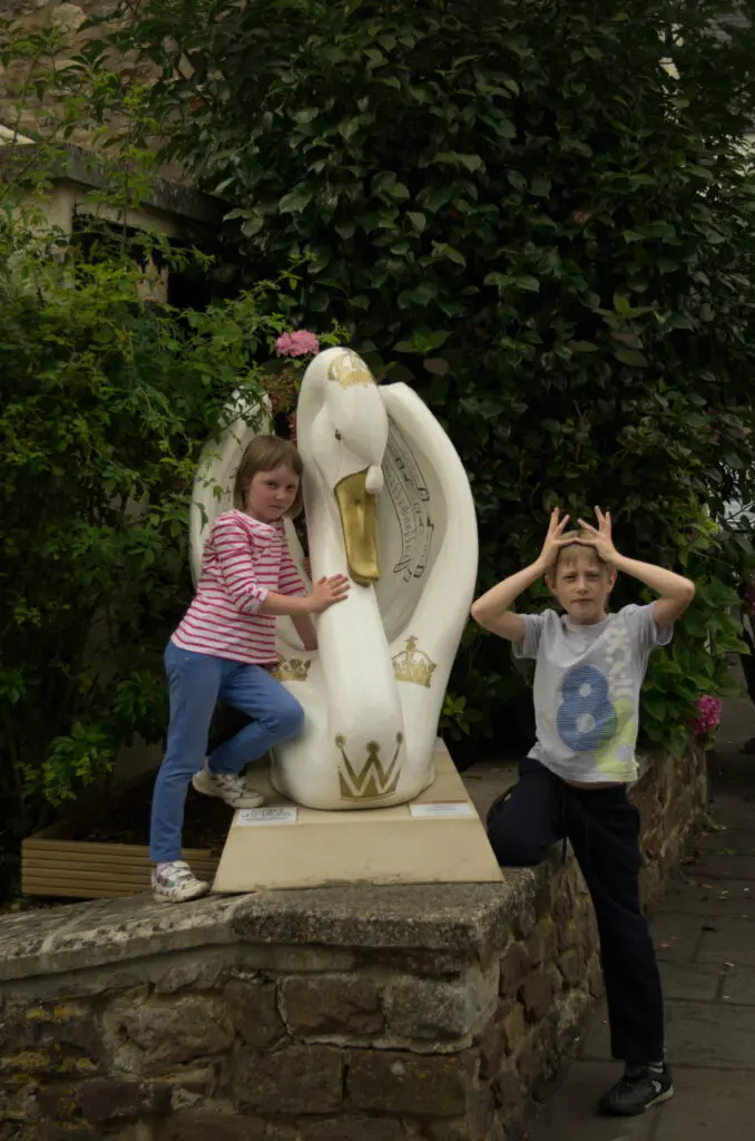 The swans of Wells 17 The crown jewels - no 55