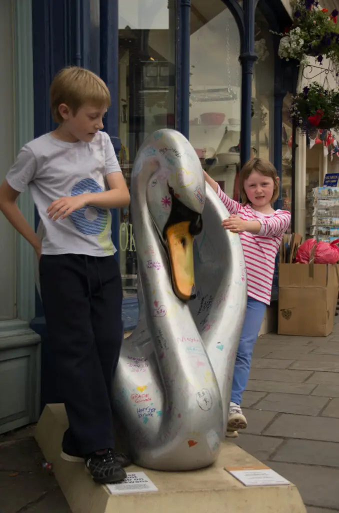 The swans of Wells 16 The swanderer